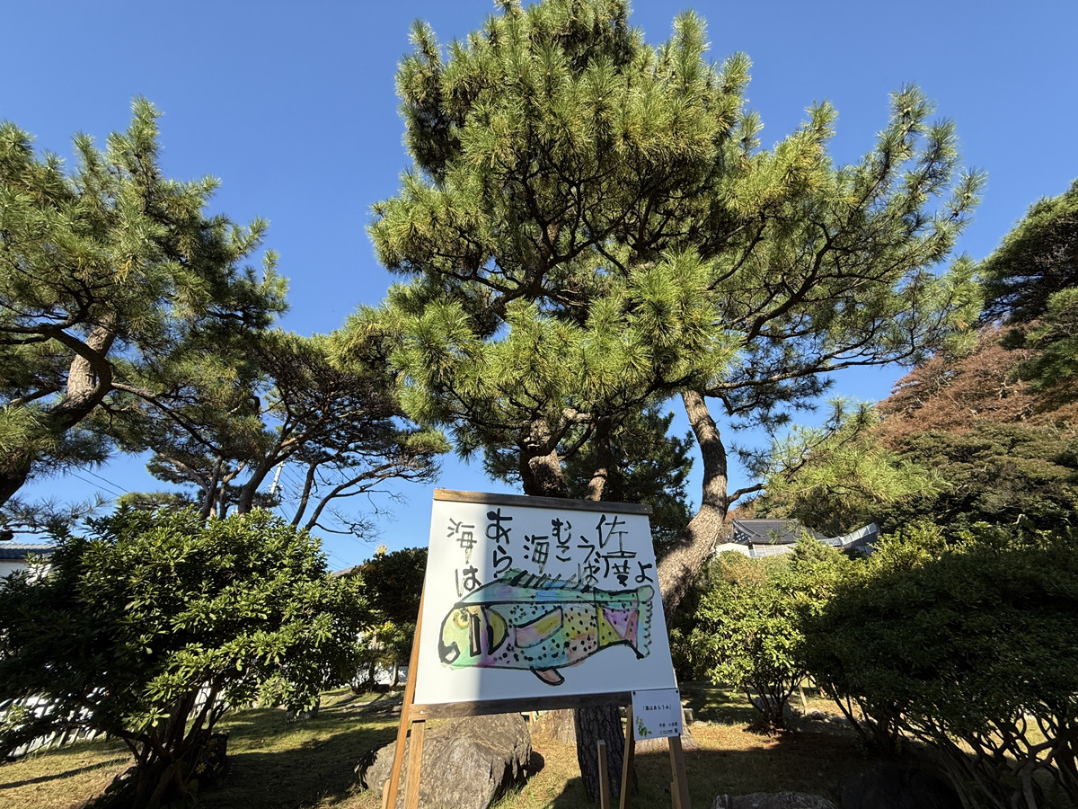 「寺泊つわぶき祭×まちごと美術館」開催のお知らせ