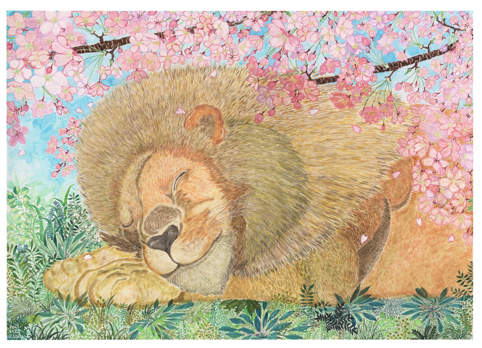 untitled（ライオン）