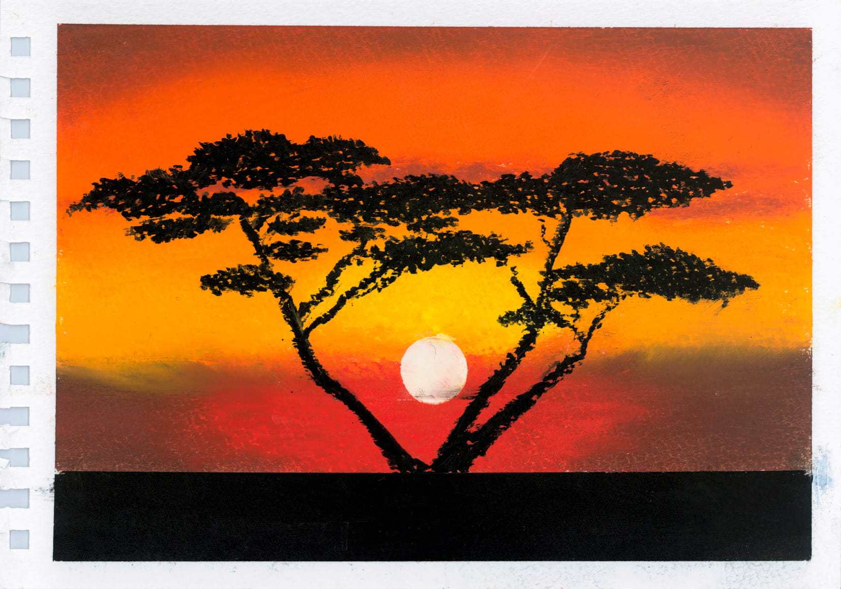 サバンナの夕景