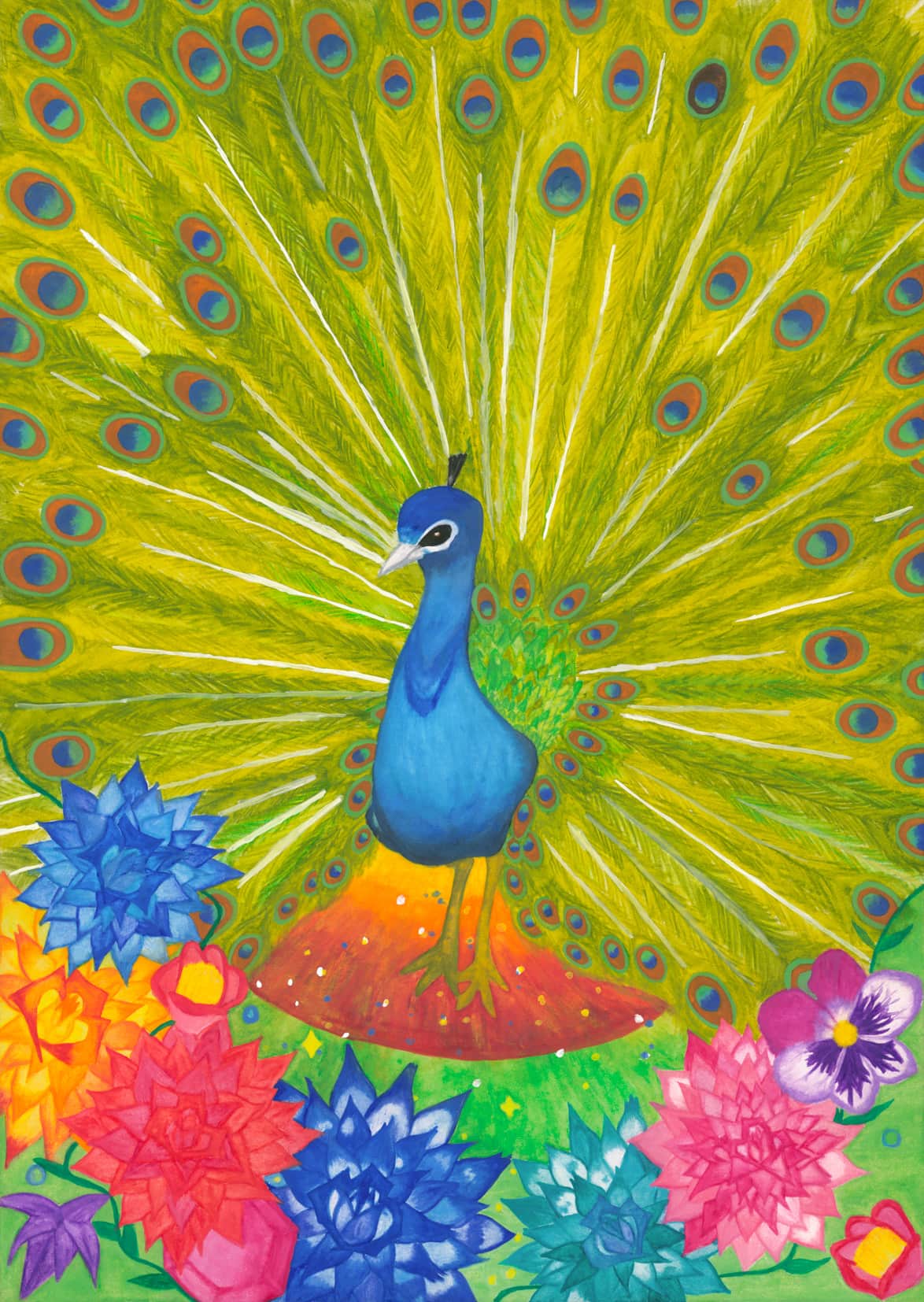 華やかな孔雀