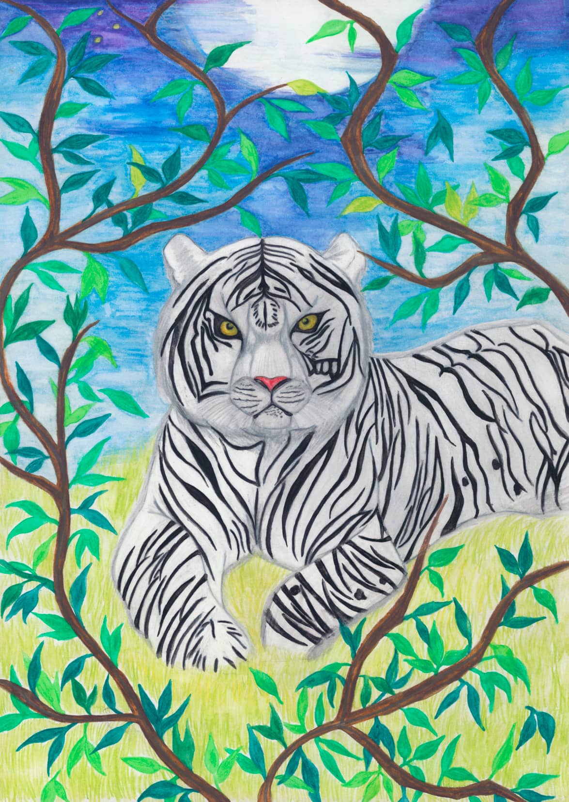 夜の世界（月・白虎）