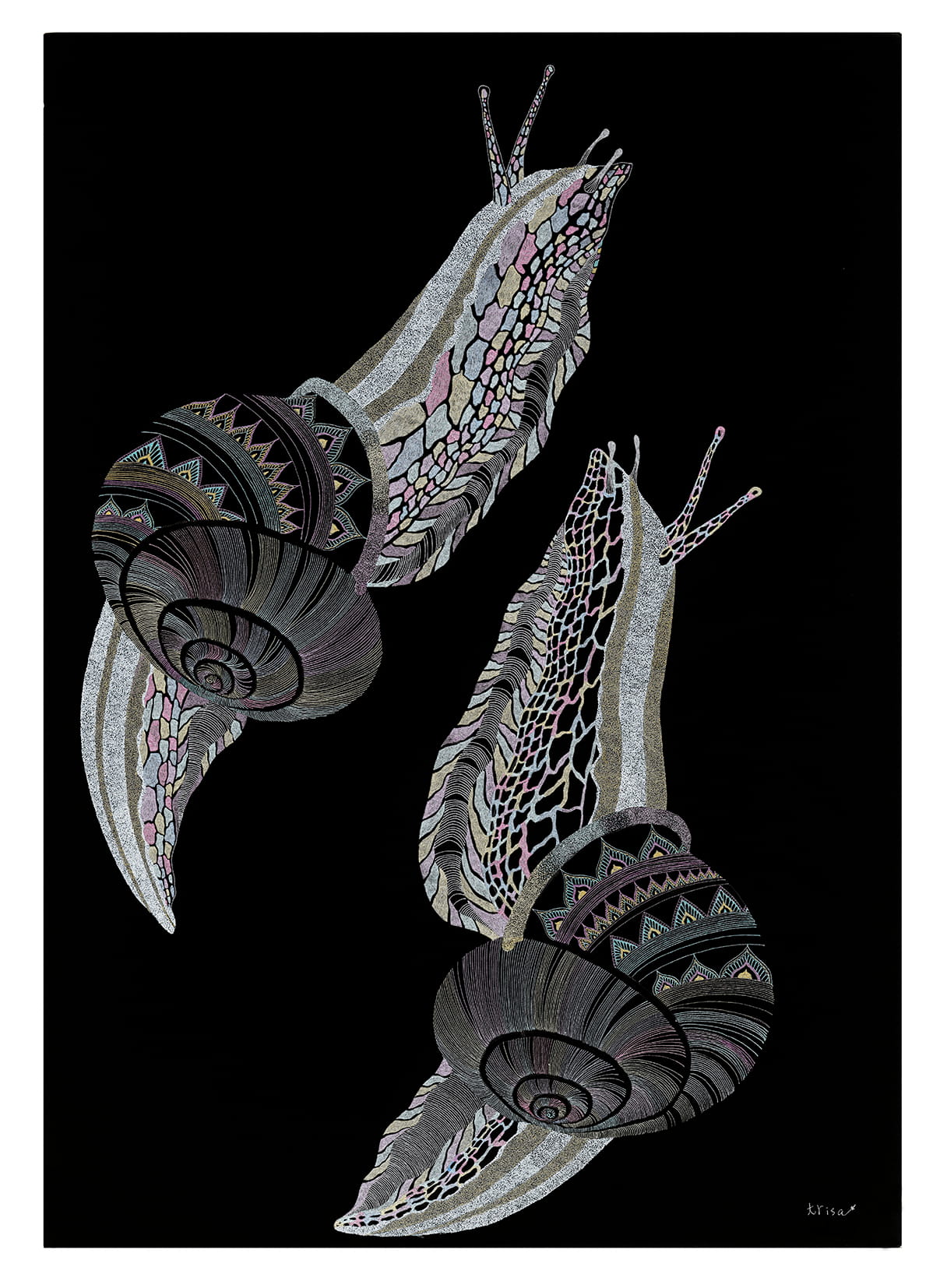 カラフルカタツムリ